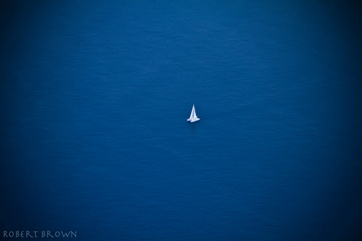 IECHOARTS-10.jpg