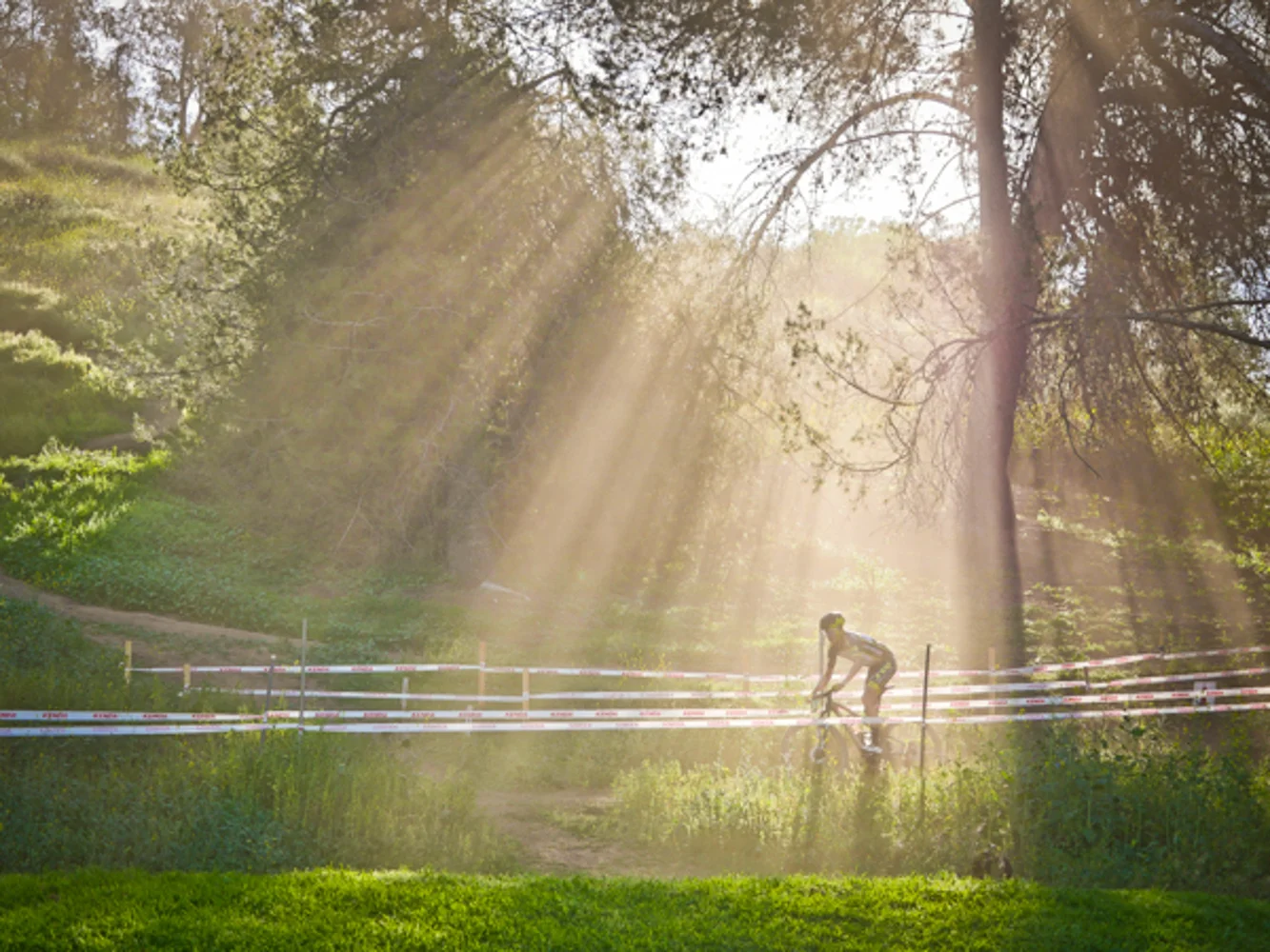 20150314-bonelli thumb light rays-1540246.jpg