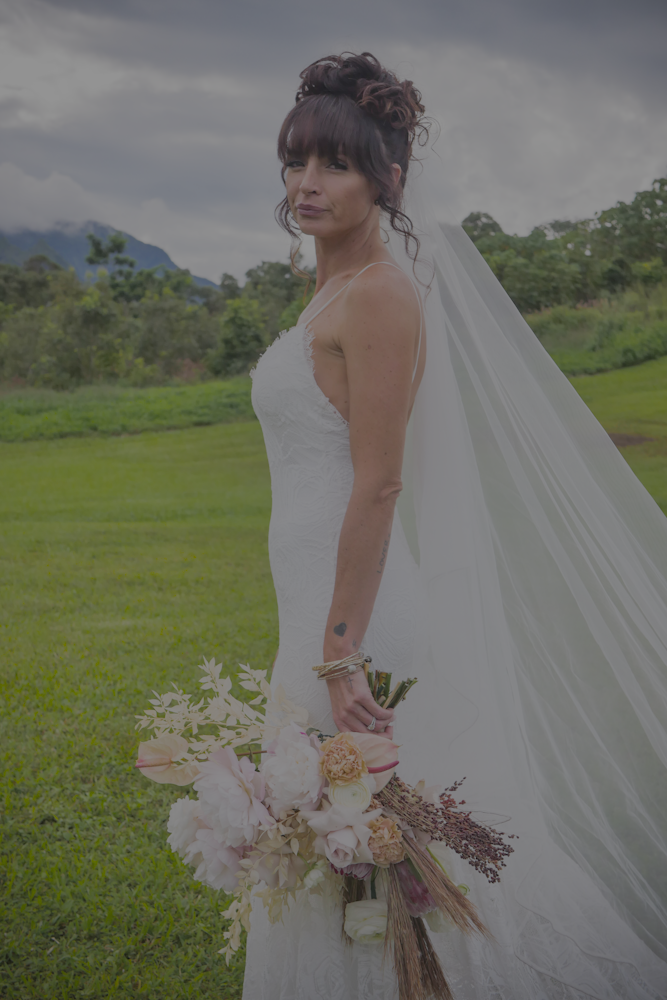 Nikole-1870352.png