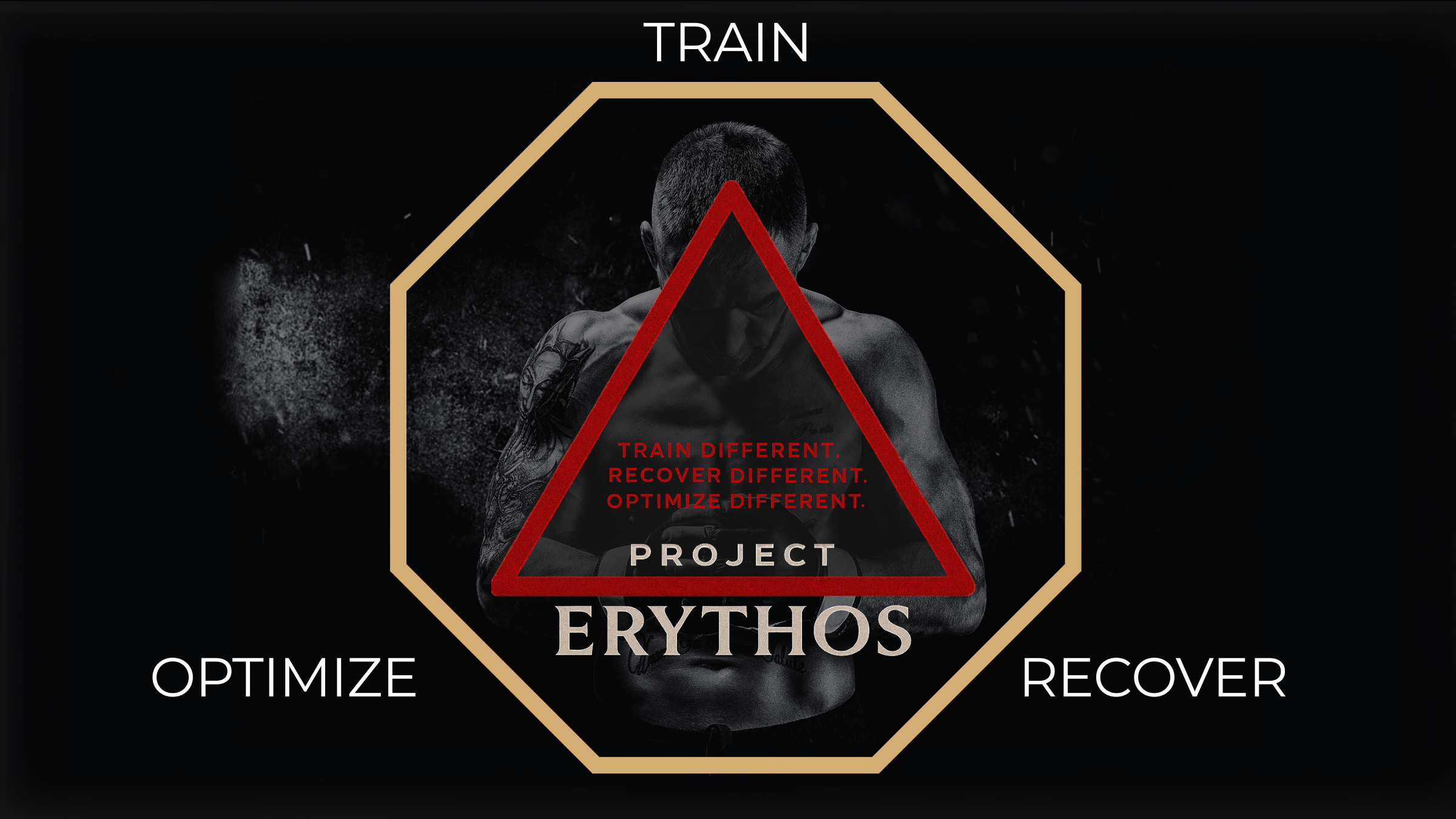 UFC Gyms 