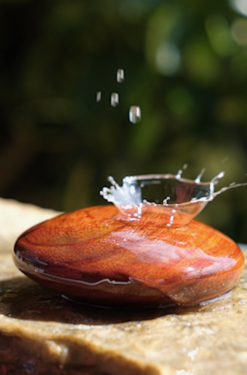 B8490482-3161-4C22-B913-29B69C76813B.png