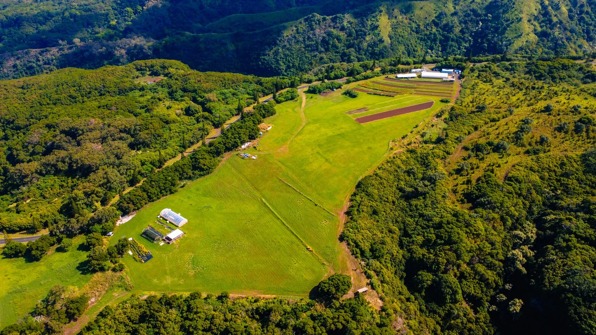 Maui Scouting Trip Jan 2026-0037-2.jpg