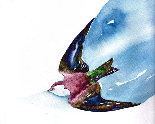 swallow_ink.jpg