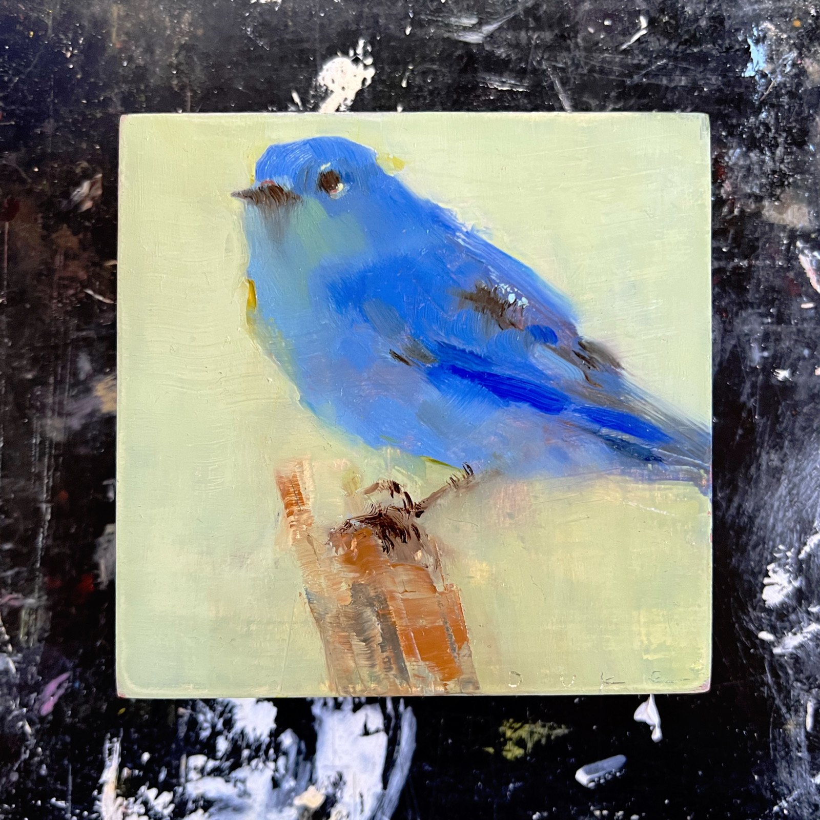 46F36A40-9915-4C86-8265-8B2FB145F01B