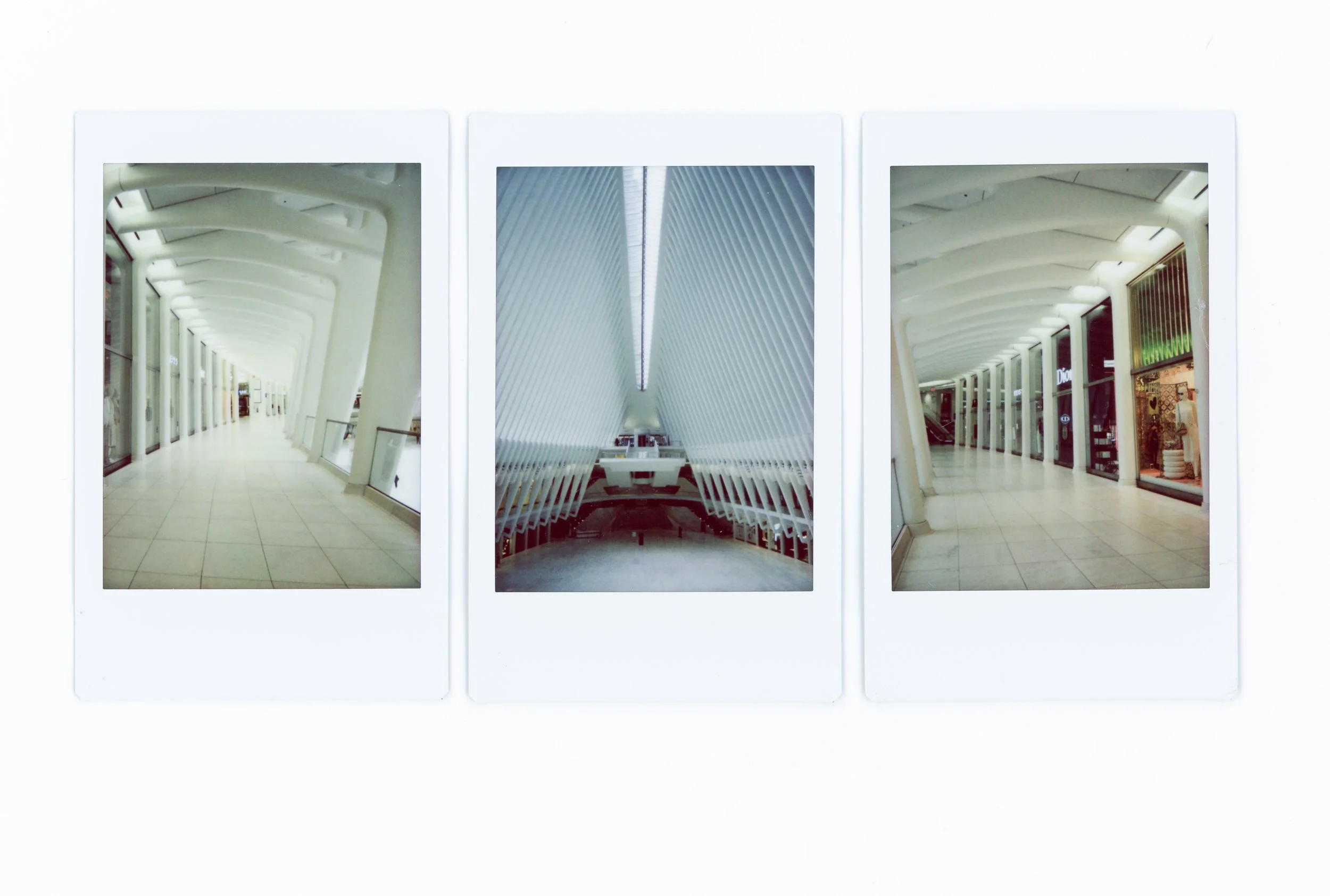 PandemicPolaroids-22.jpg