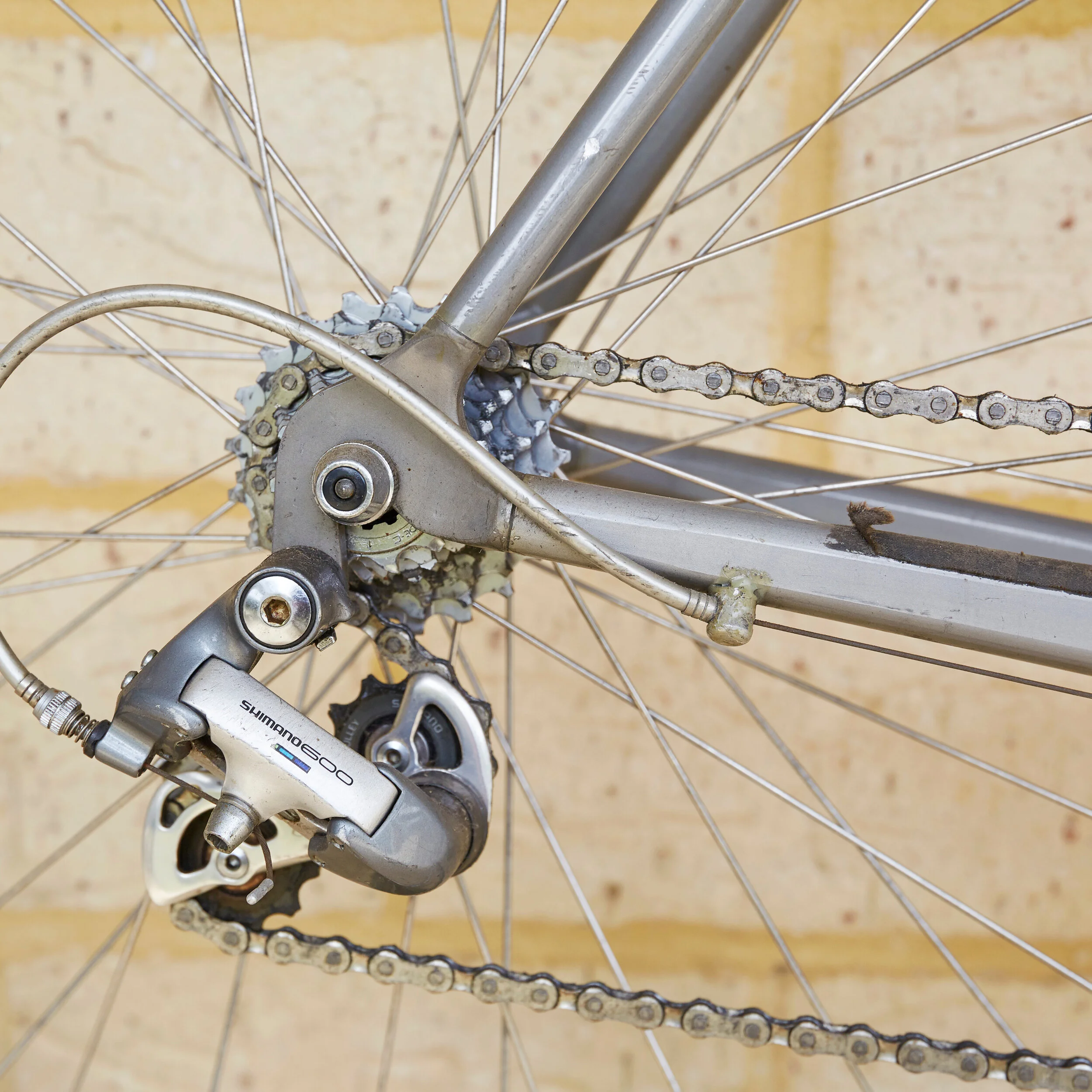 Cadex_20190917_0818.jpg