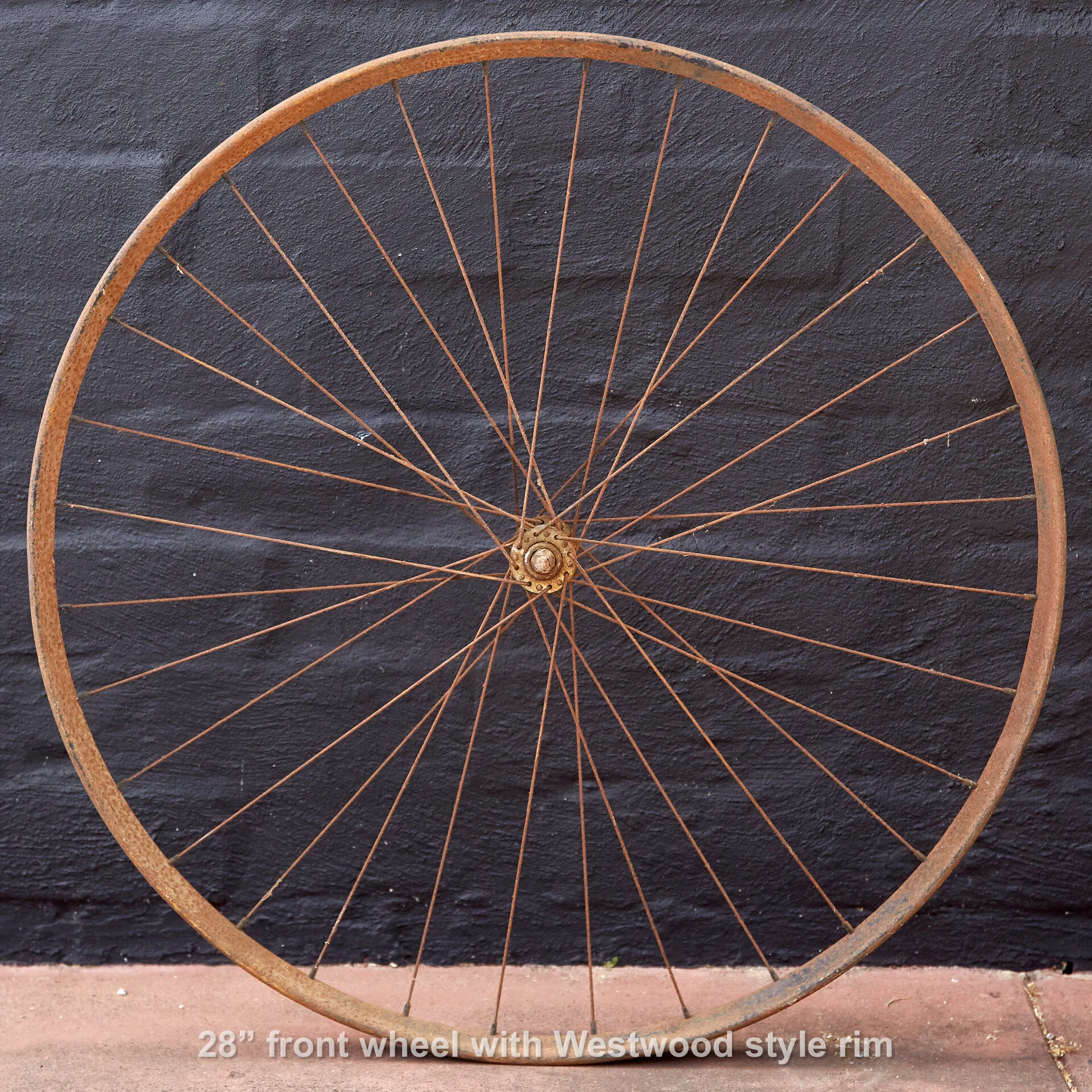 Wheel20191120_673_lores.jpg