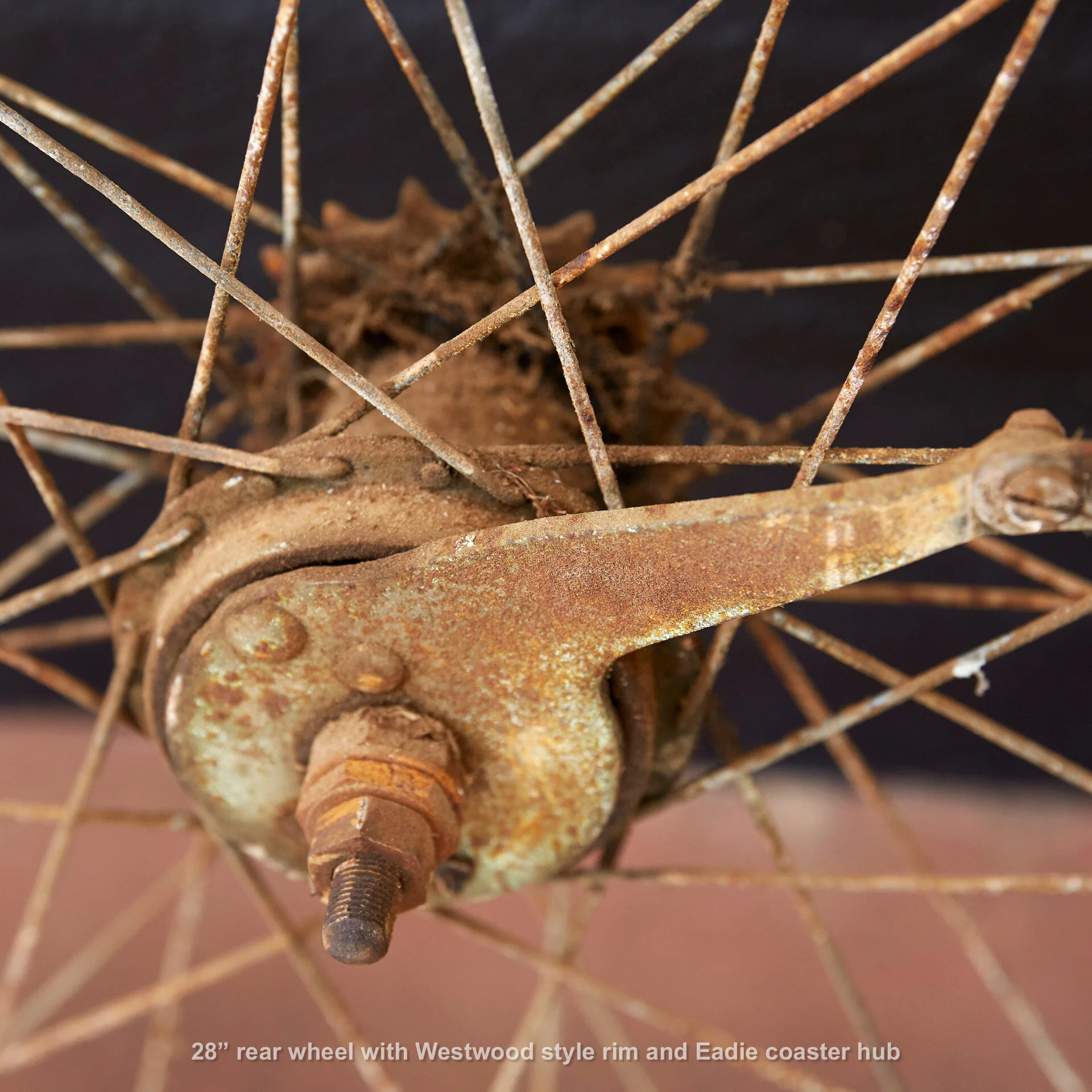 Wheel20191120_676_lores.jpg