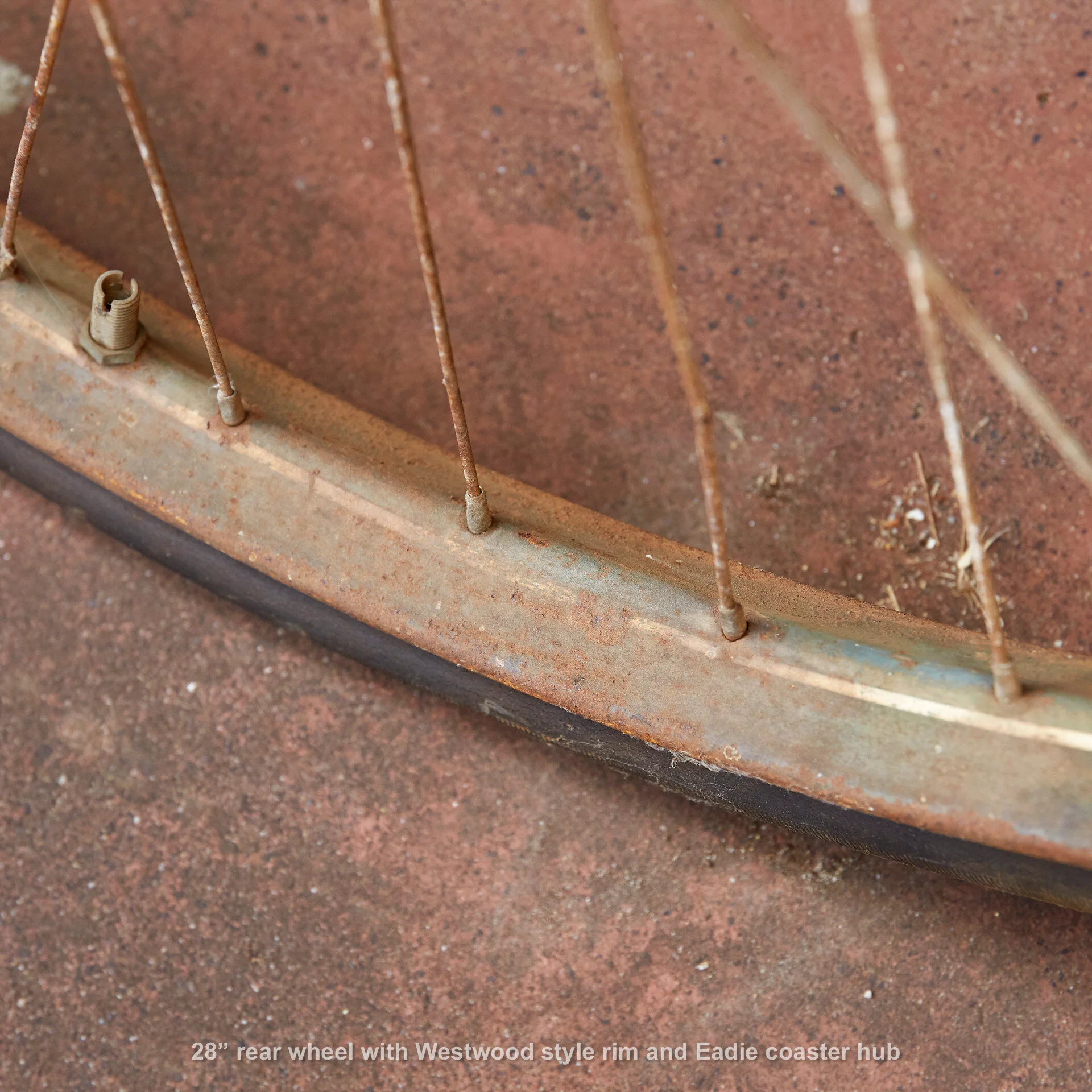 Wheel20191120_677_lores.jpg