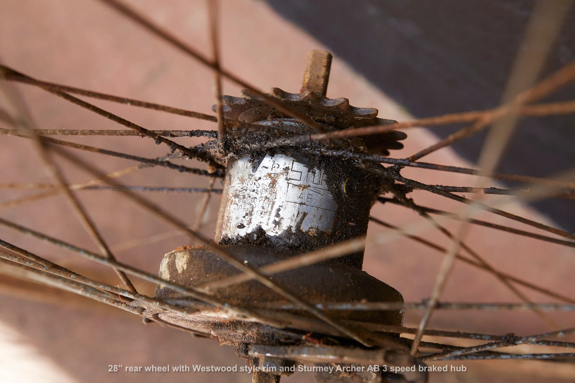 Wheel20191120_693_lores.jpg