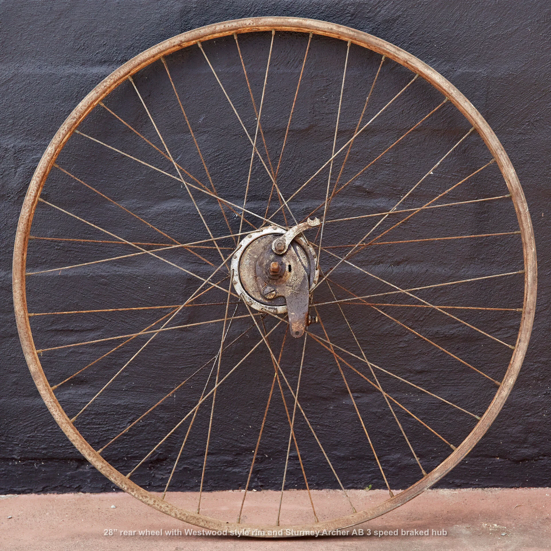 Wheel20191120_691_lores.jpg