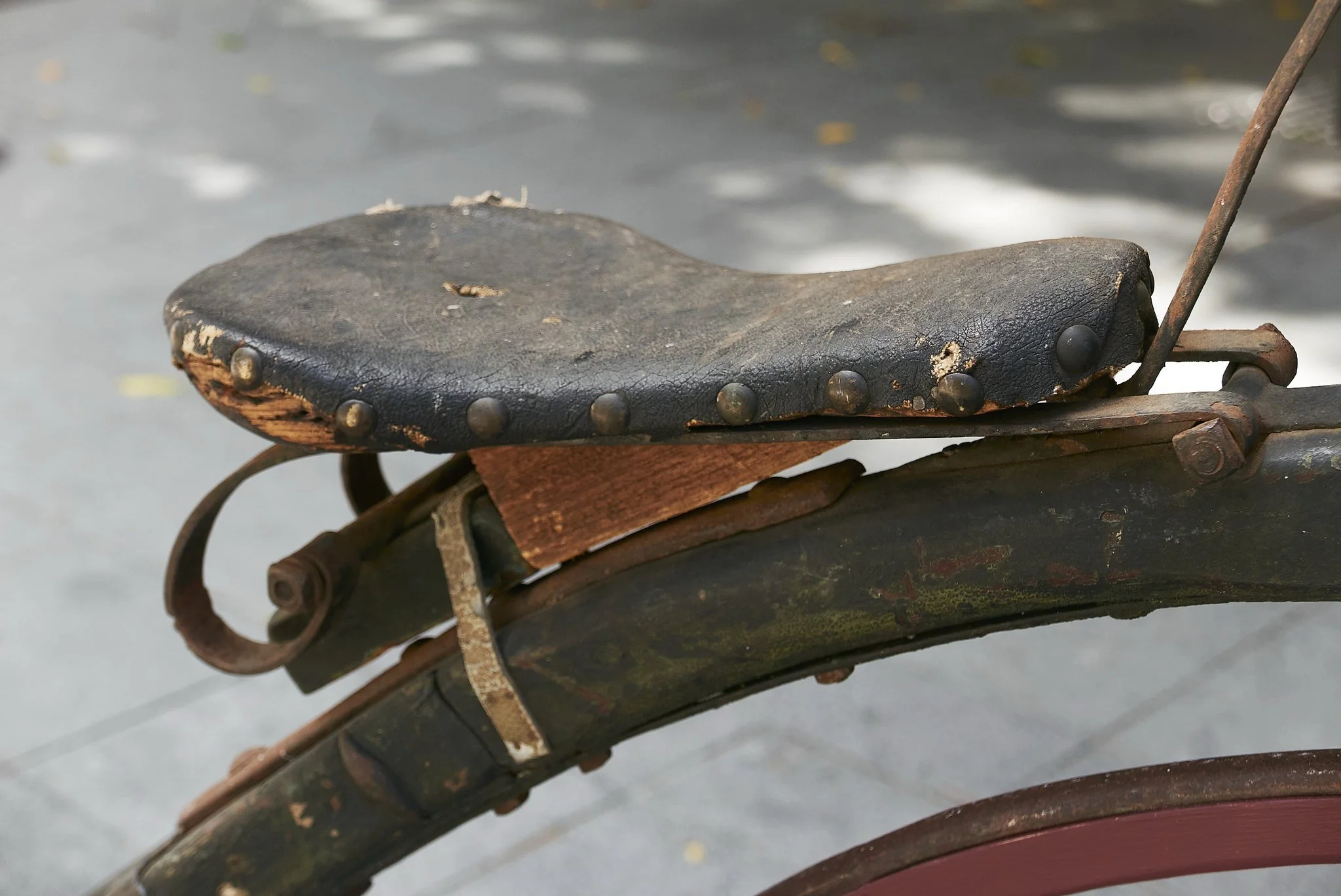 South Australian Velocipede 20251214_0831