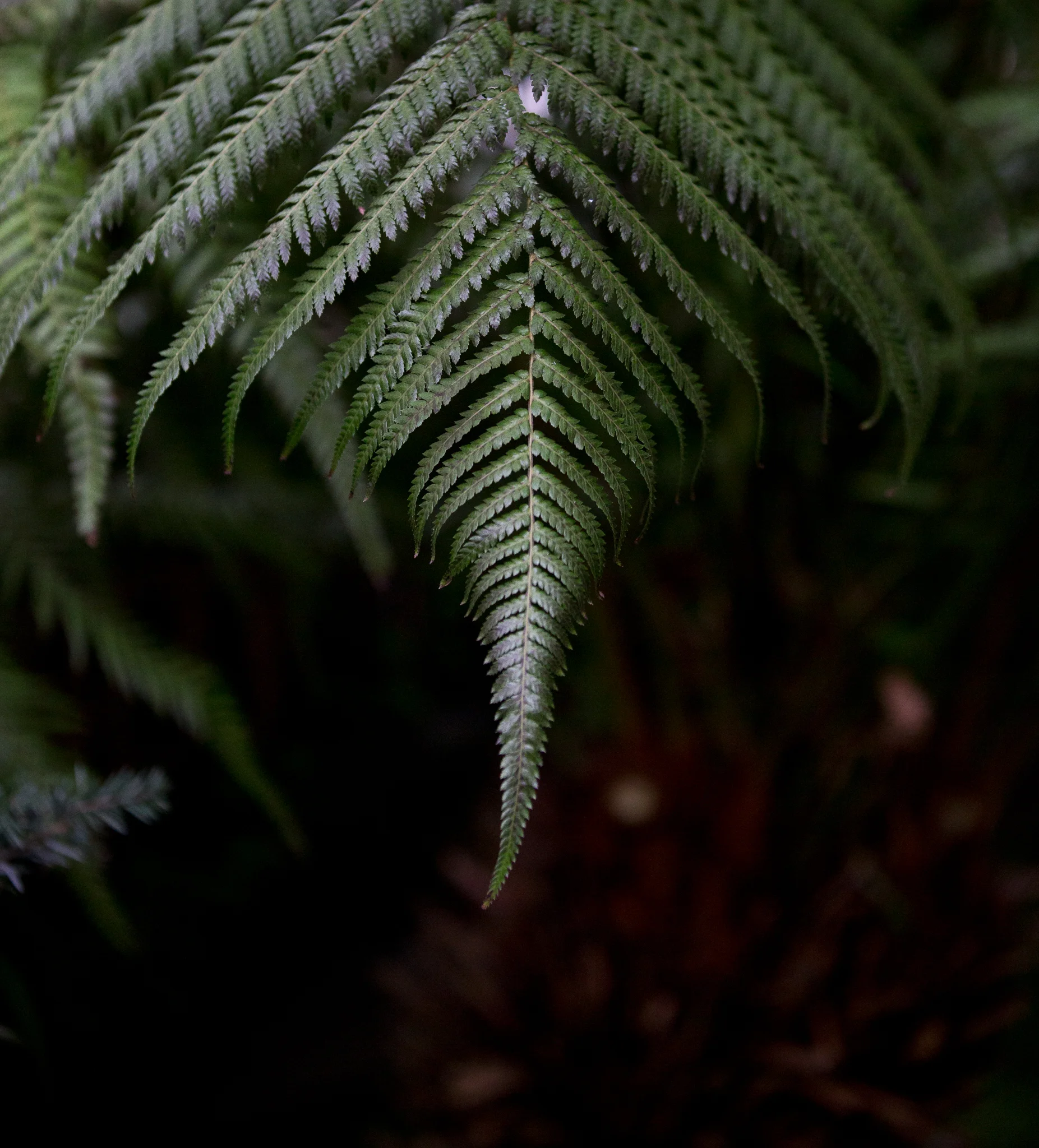 H35A1253.jpg