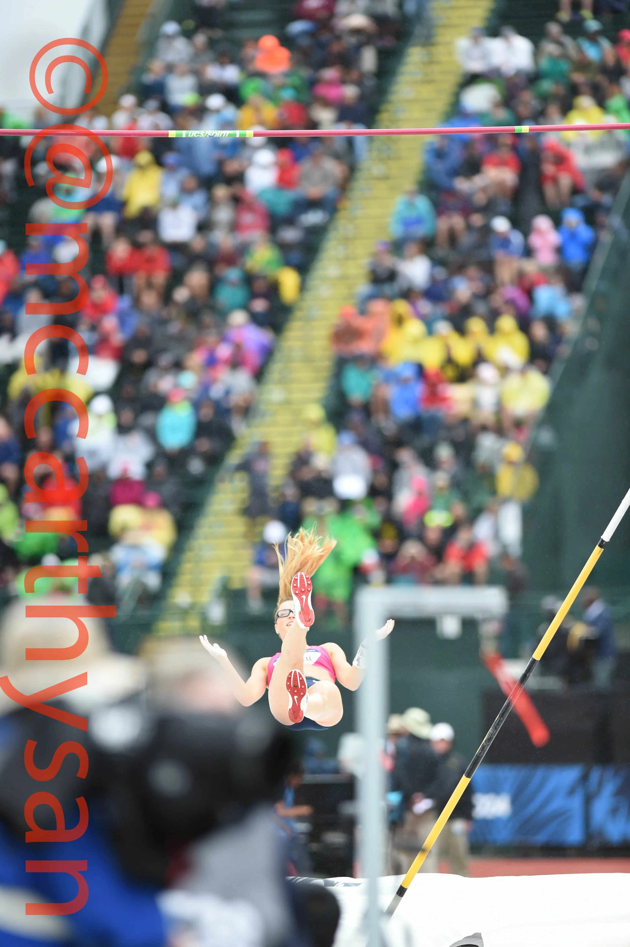 MM1_8036-23.jpg