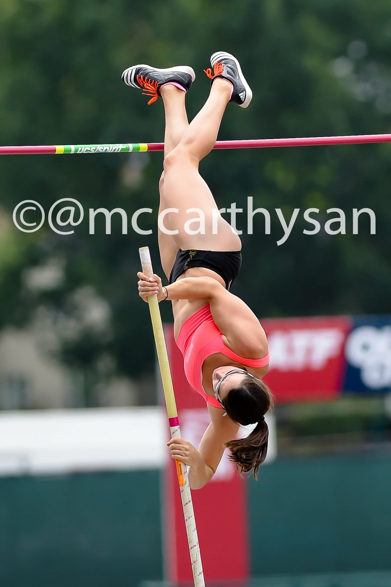 MMC_8751-1.jpg
