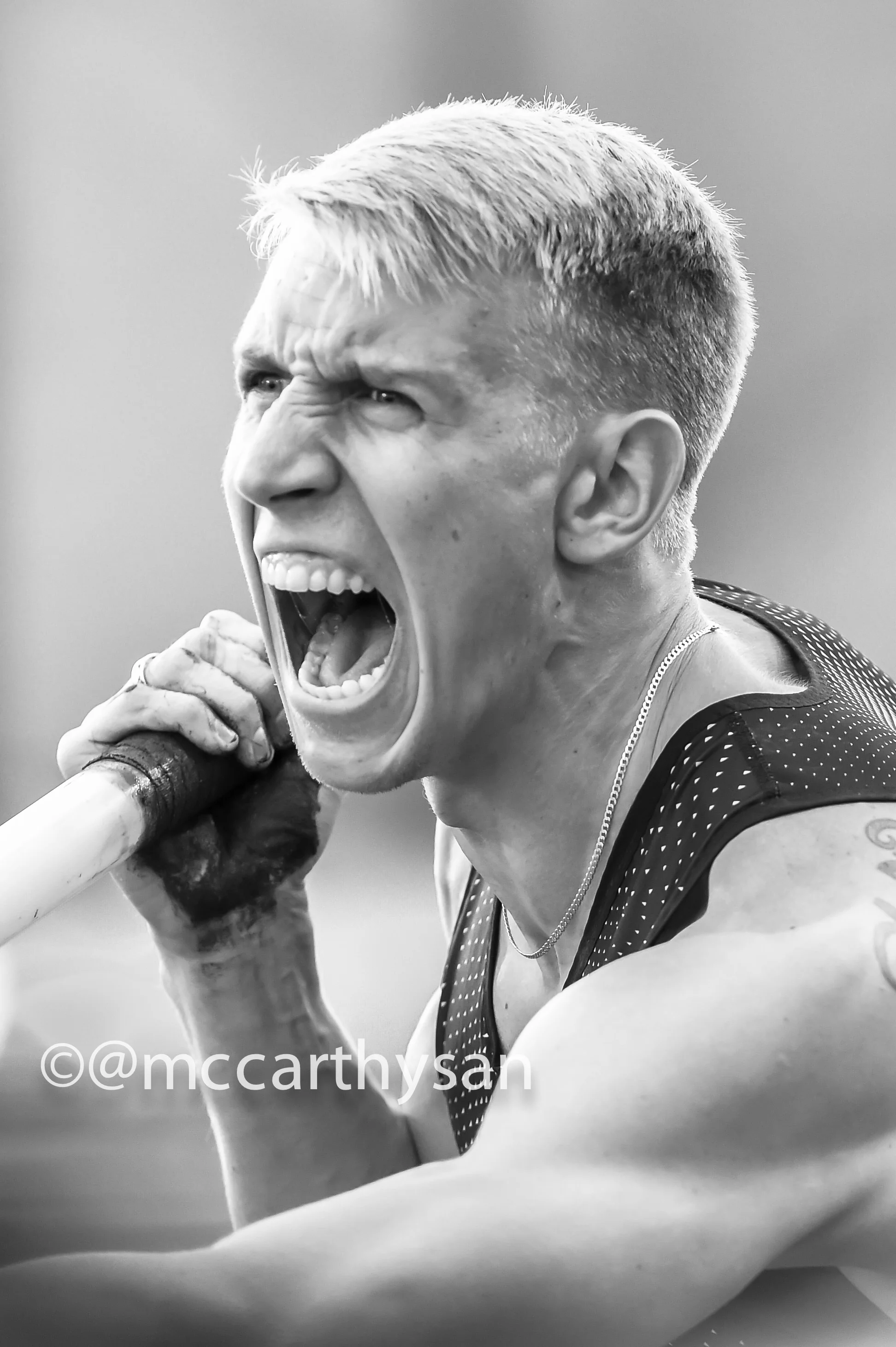 MM9_7808-1.jpg