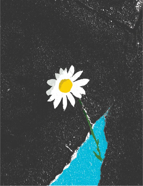 SPRING ISSUE DAISY COVER-01.jpg
