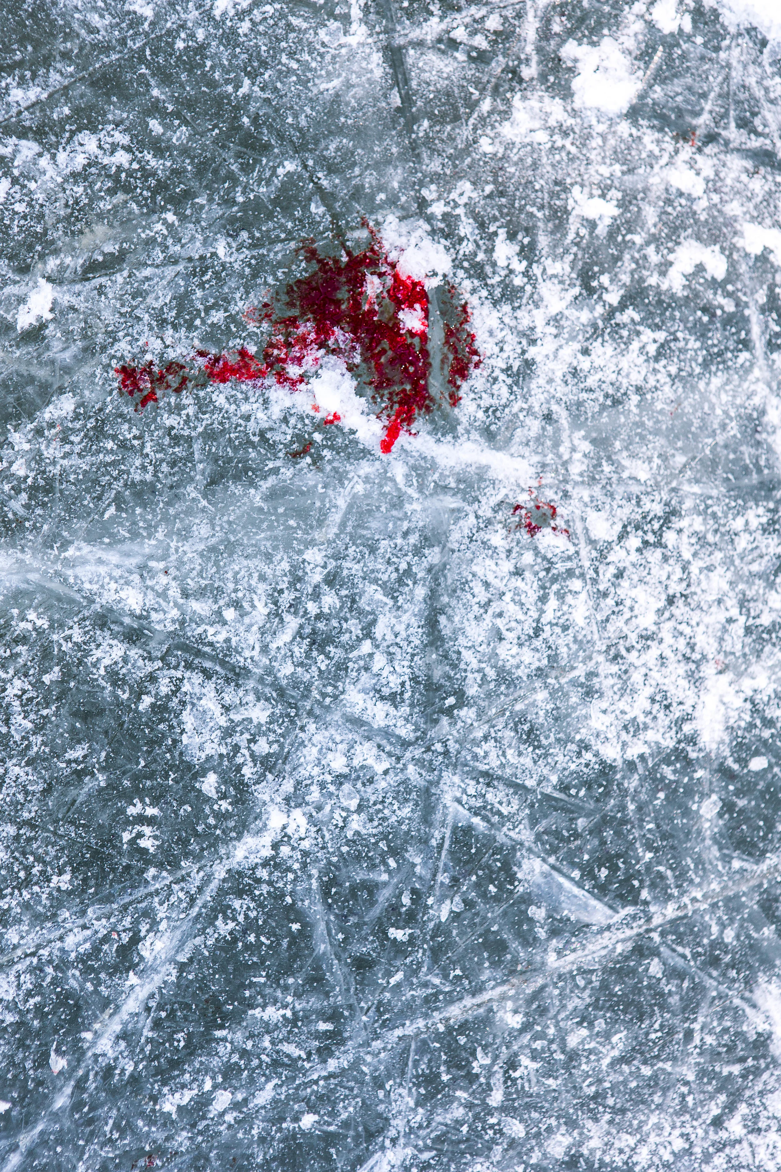USPHC_CJ_R8536.jpg