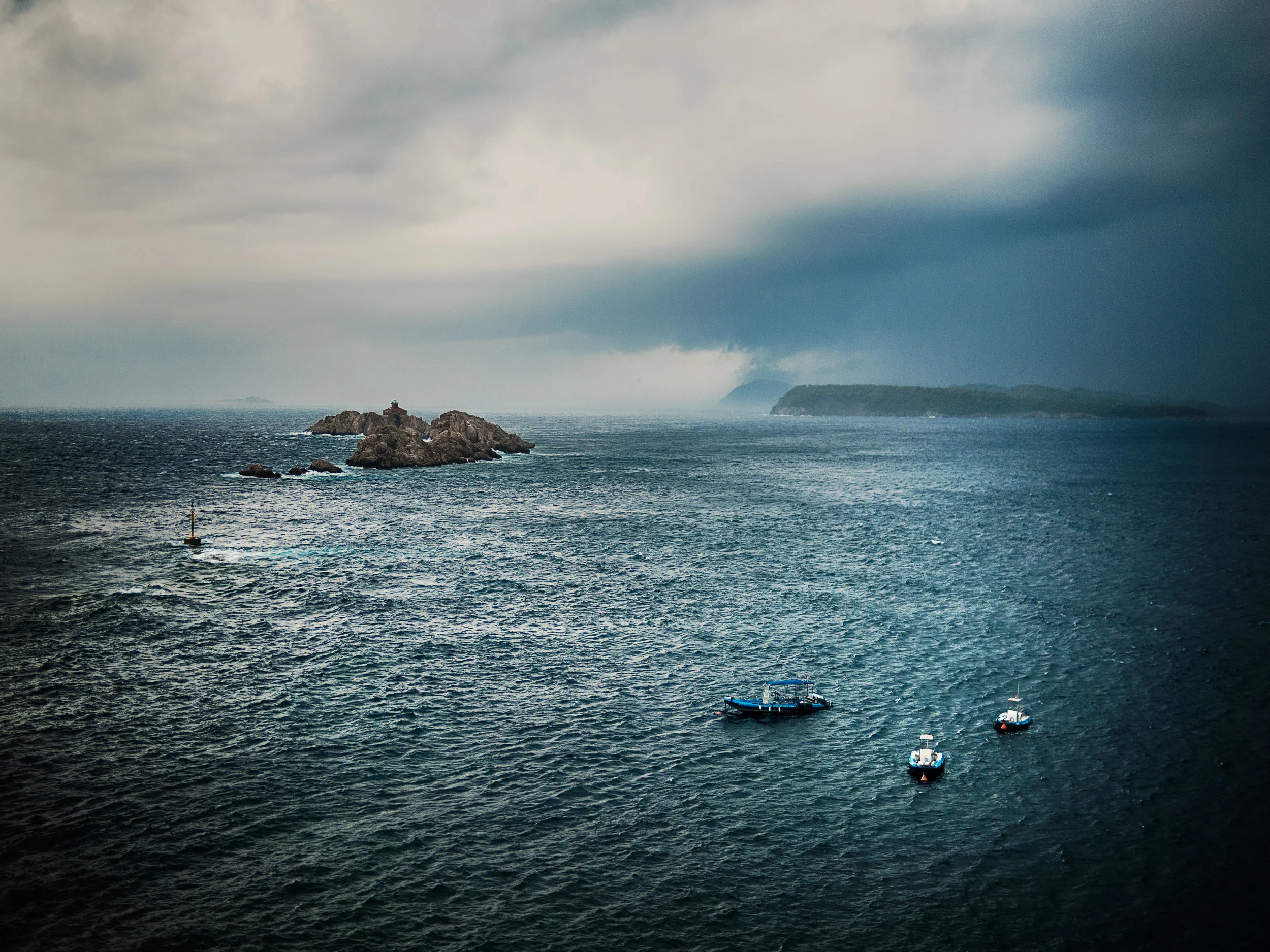 _9175654-Edit-crop.jpg