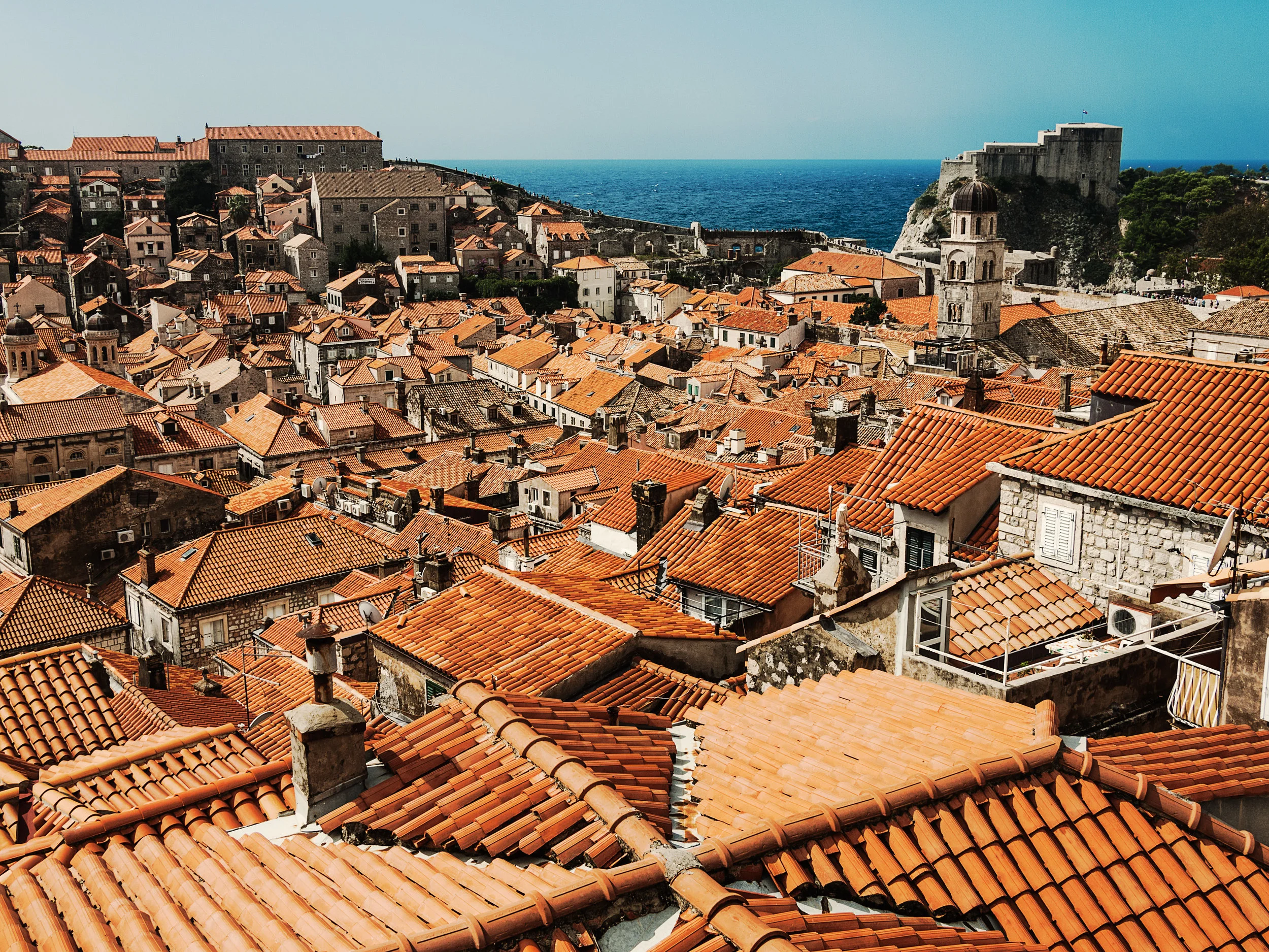 _9175747-Edit-crop.jpg