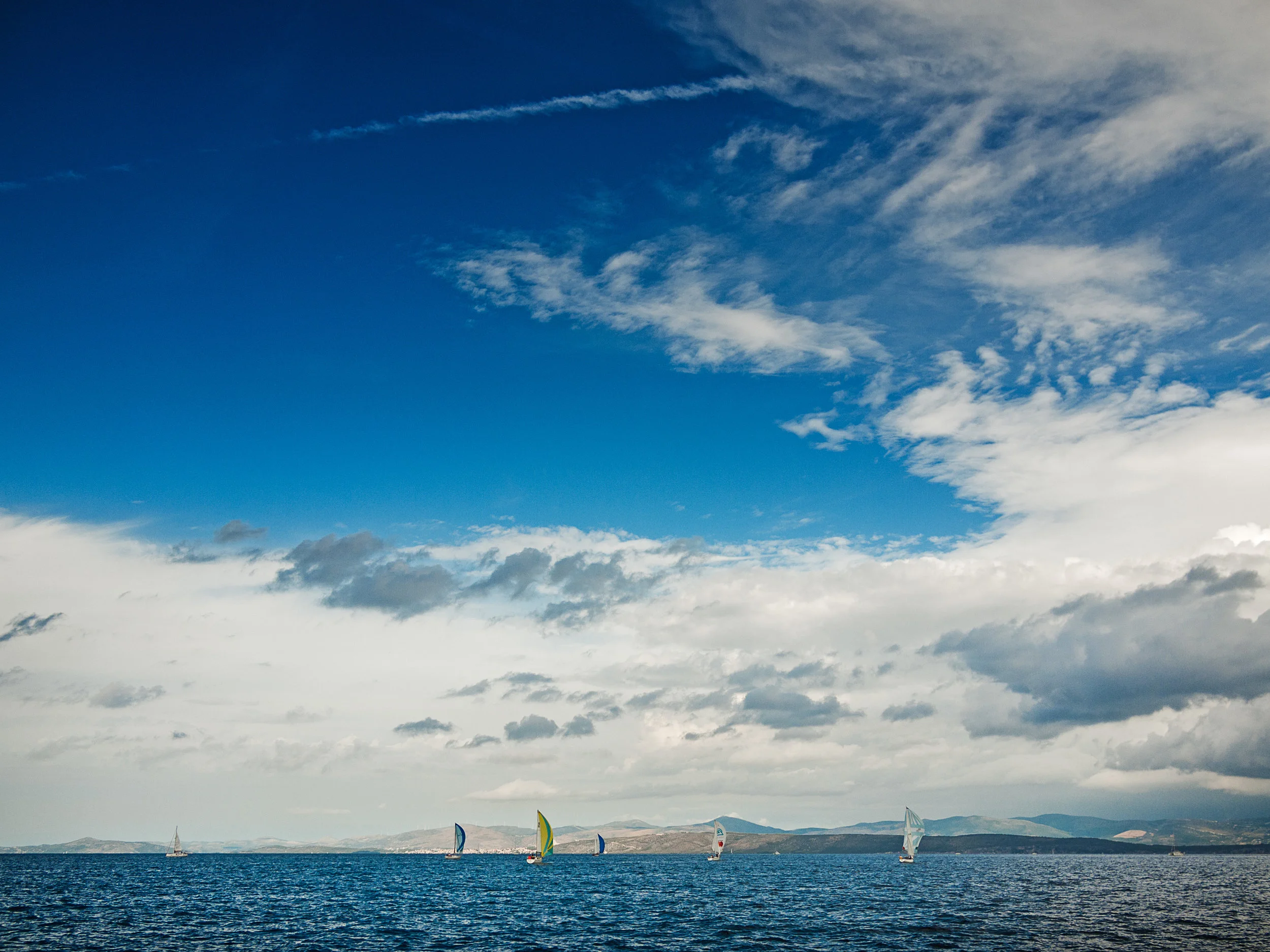 _9185800-Edit-crop.jpg