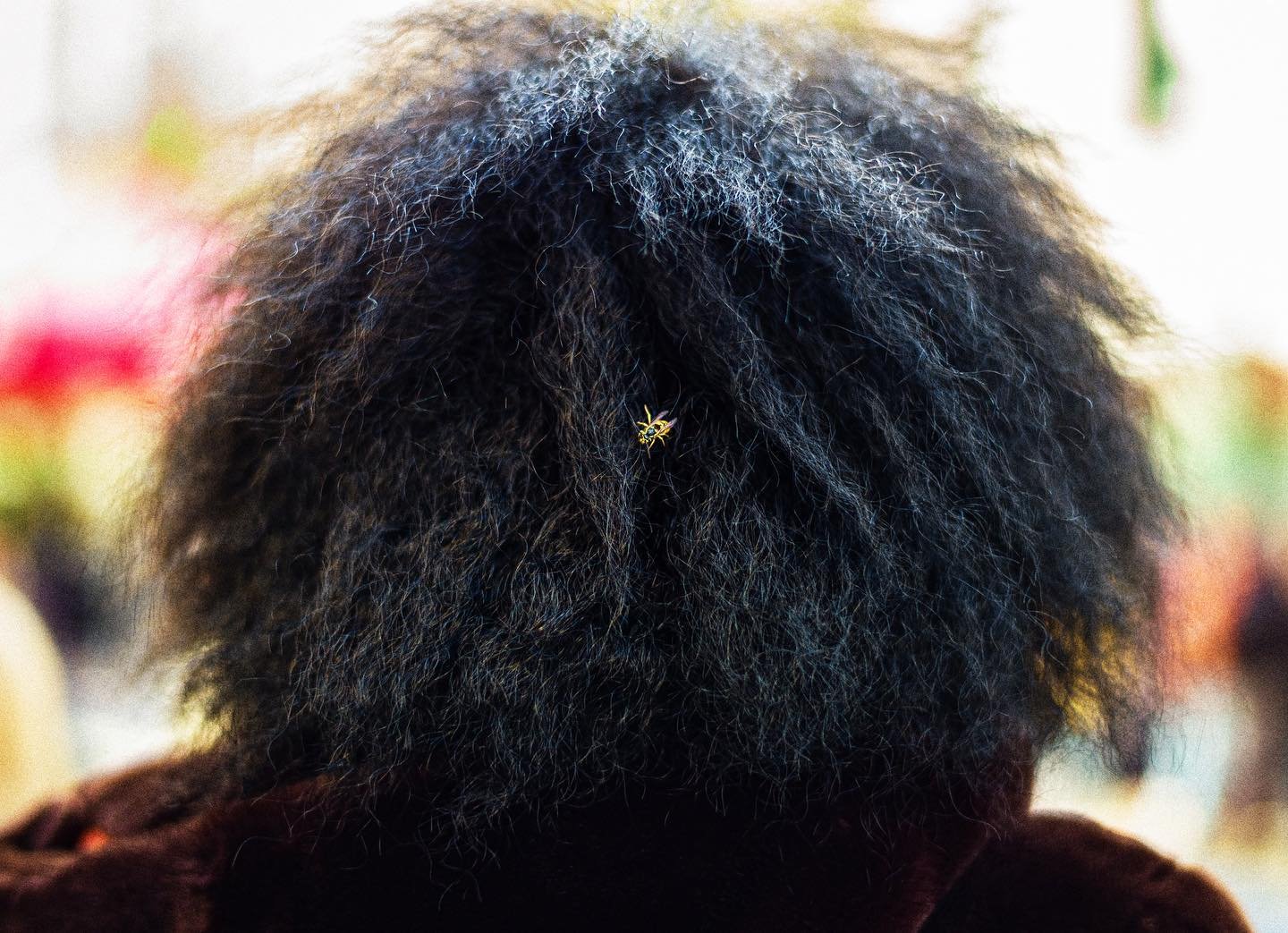 #wasp #hair #spaceistheplace #streetphotography #dudelange #leicam9 #50mm