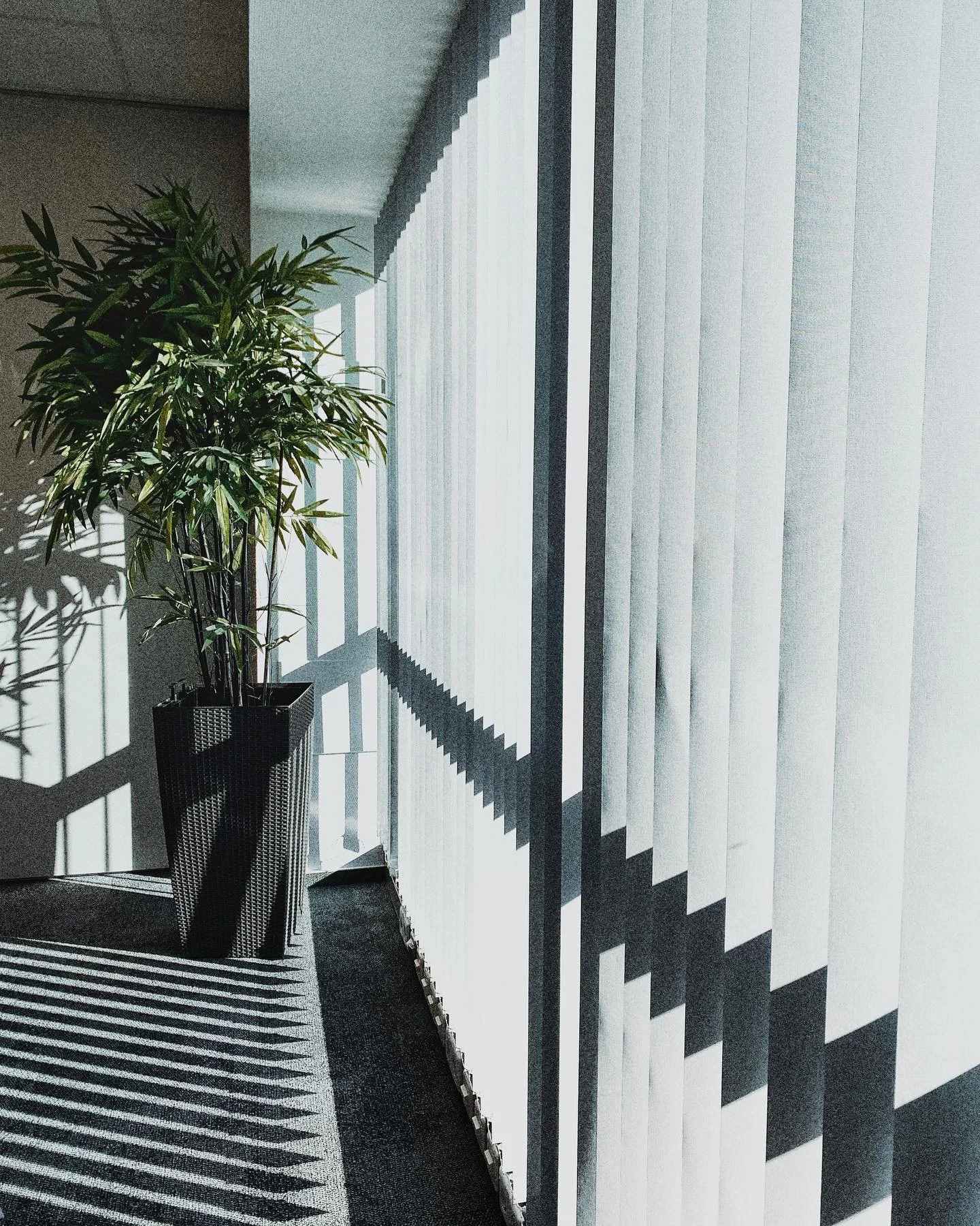 #officelife #pressconference #shapes #shadowhunters #fakeplants #phonephotography #luxembourg