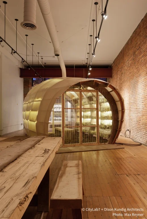 06_[storefront] OKA Mushroom Farm.jpg