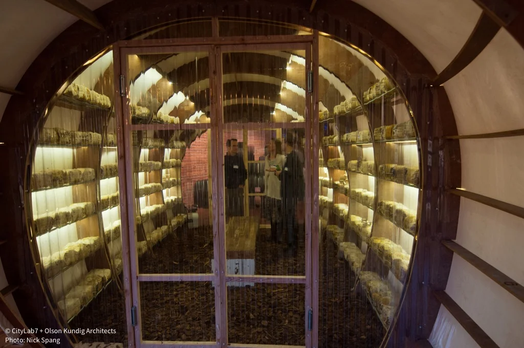 Mushroom Farm Looking in.jpg