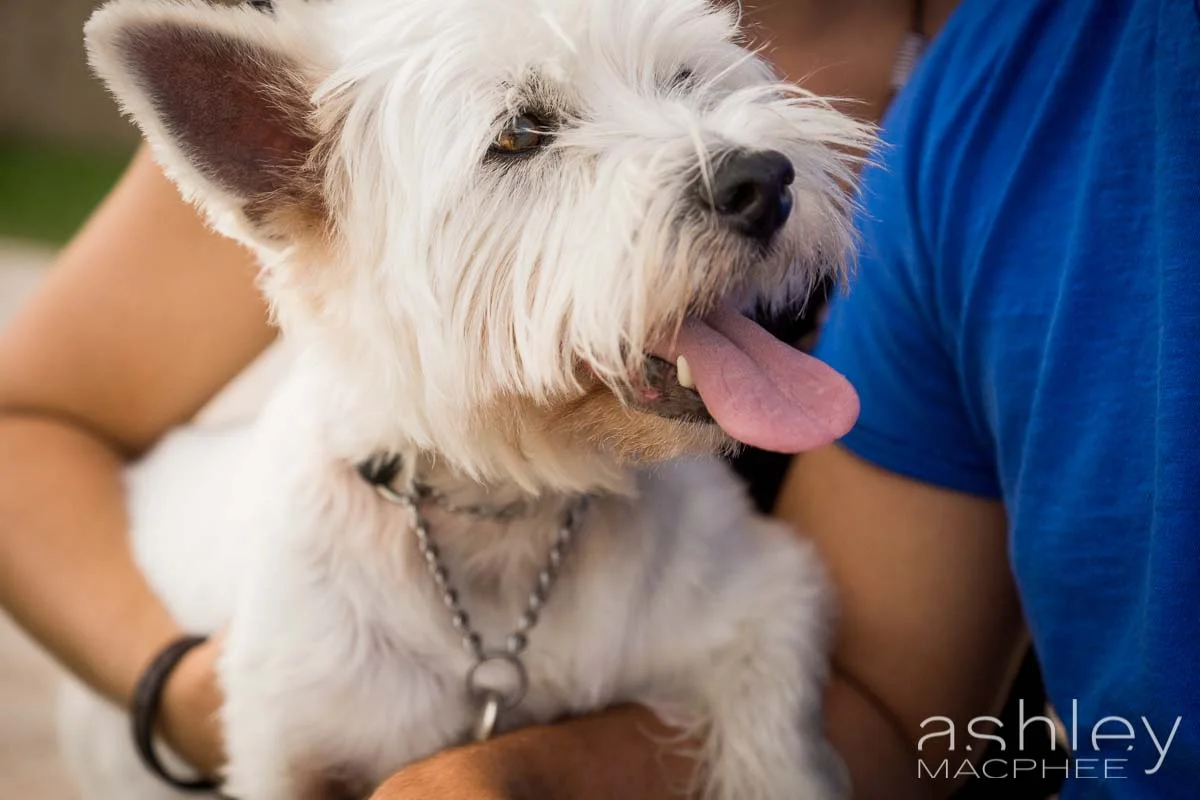 Ashley MacPhee Photography APhoto (6 of 11).jpg
