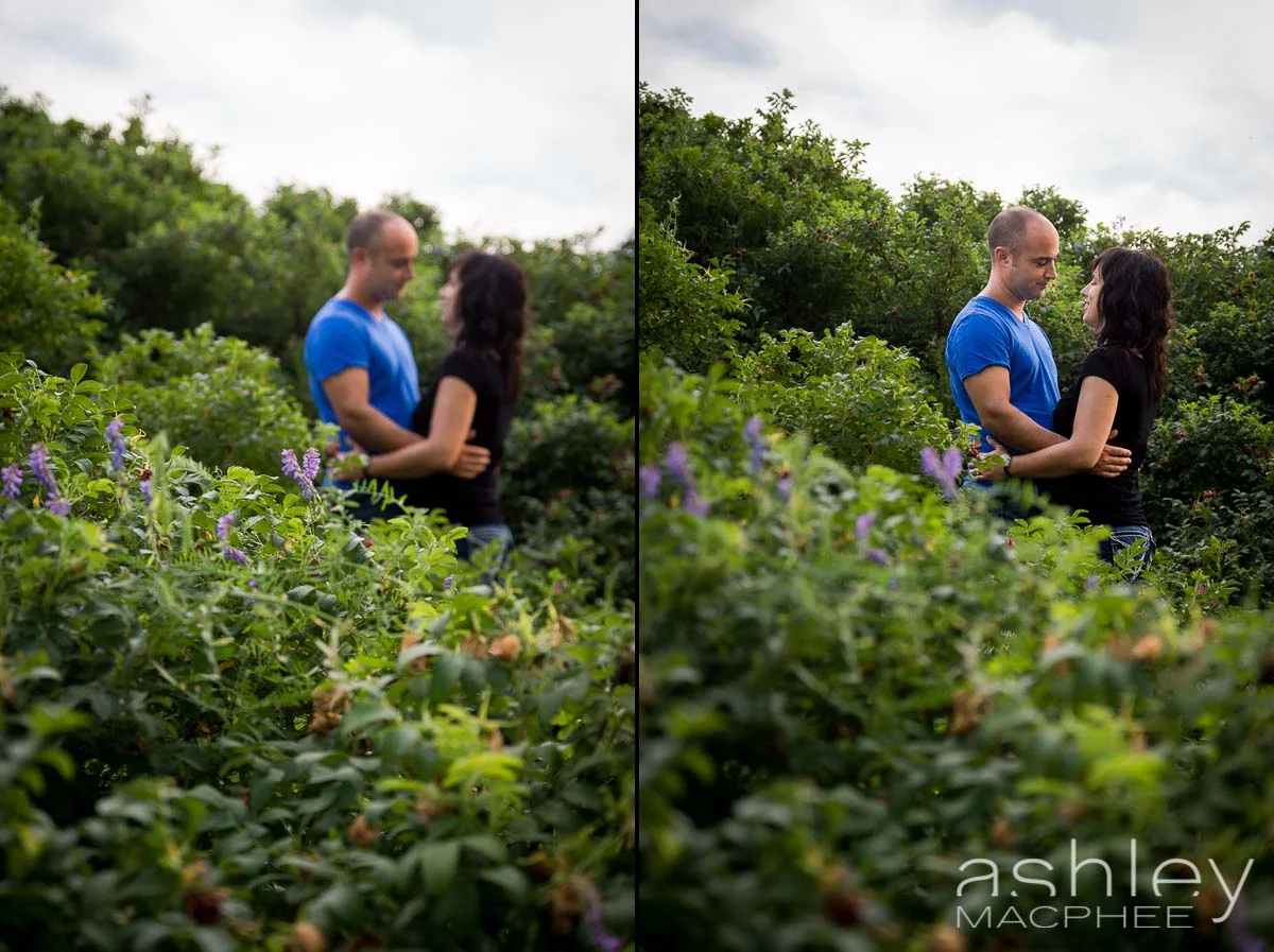 Ashley MacPhee Photography APhoto (1 of 1).jpg