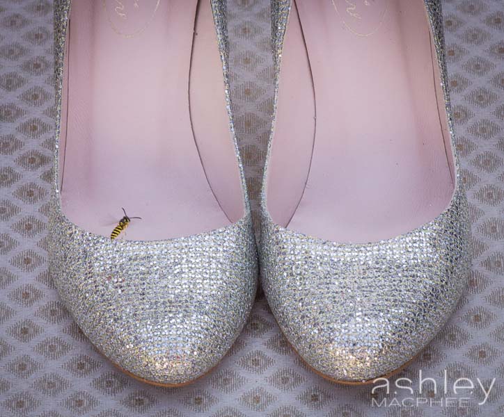 Ashley MacPhee Photography APhoto (1 of 41).jpg