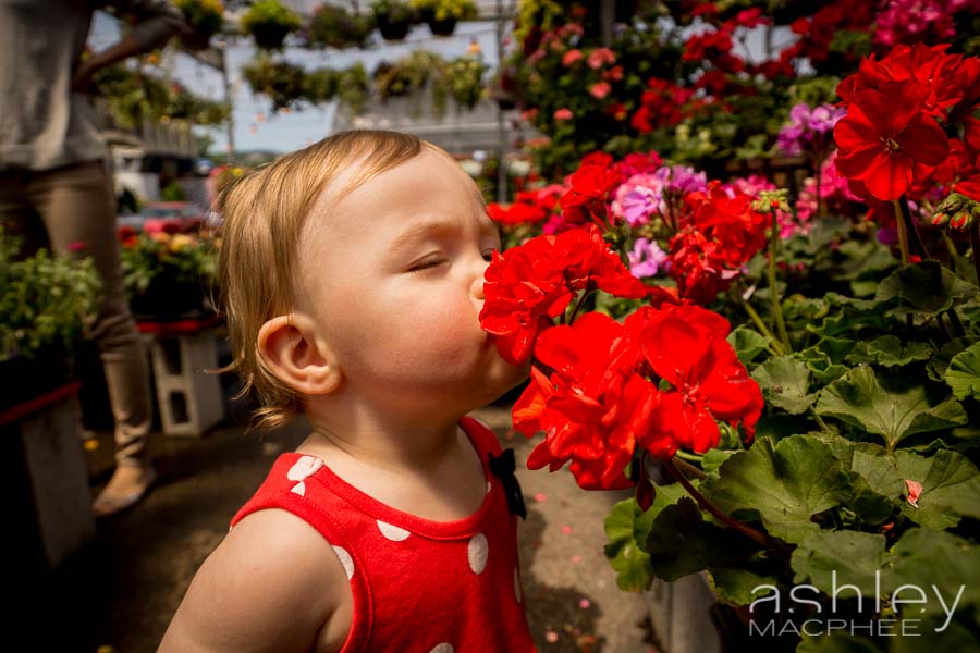 Ashley MacPhee Photography Atwater Market Family Portrait (16 of 17).jpg