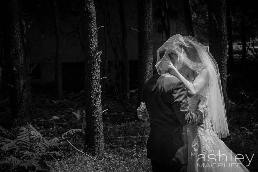 Ashley MacPhee Photography APhoto (12 of 57).jpg