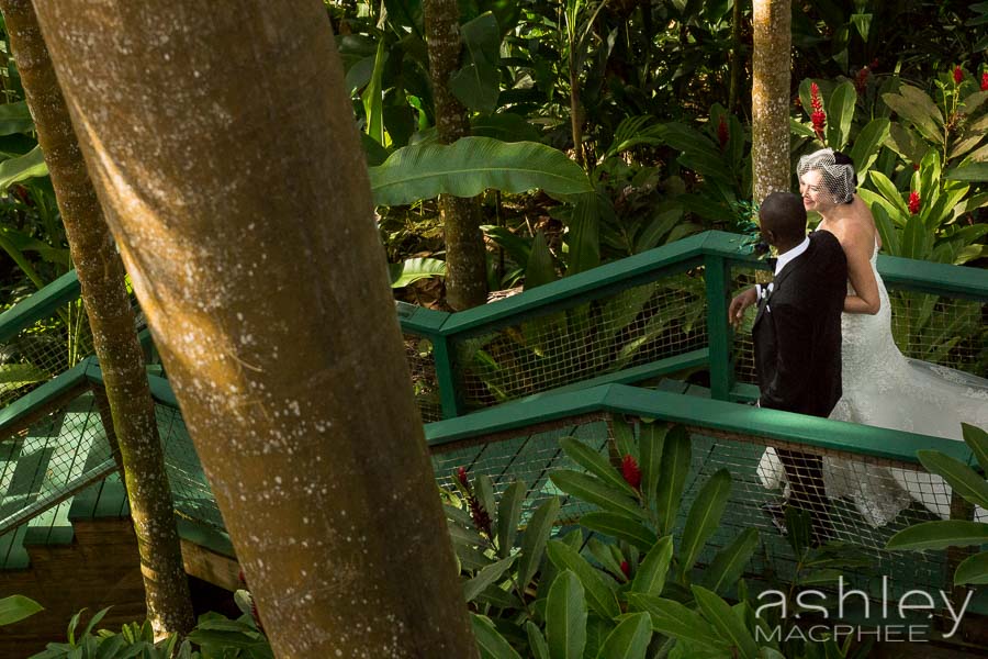 Destination St. Thomas Wedding Photographer (23 of 52).jpg