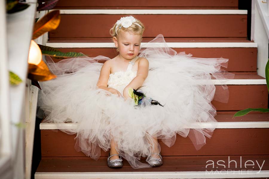 Destination St. Thomas Wedding Photographer (29 of 52).jpg