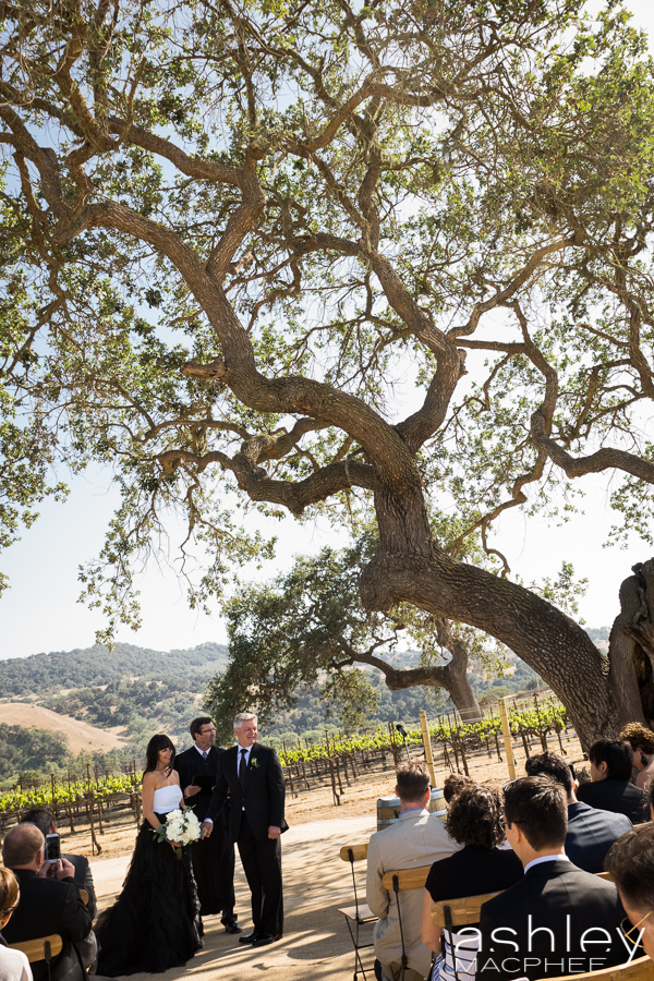 Ashley MacPhee Photography Santa Ynez Sunstone Winery Wedding (67 of 144).jpg