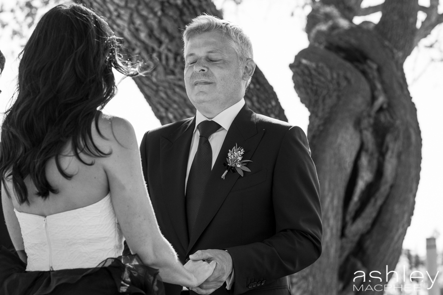 Ashley MacPhee Photography Santa Ynez Sunstone Winery Wedding (75 of 144).jpg