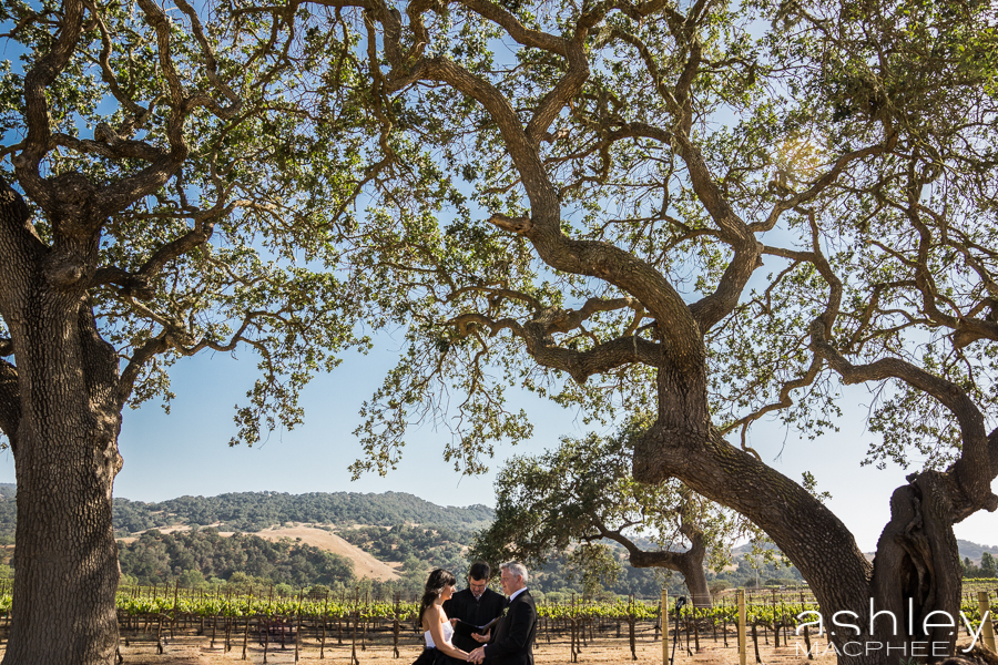 Ashley MacPhee Photography Santa Ynez Sunstone Winery Wedding (74 of 144).jpg
