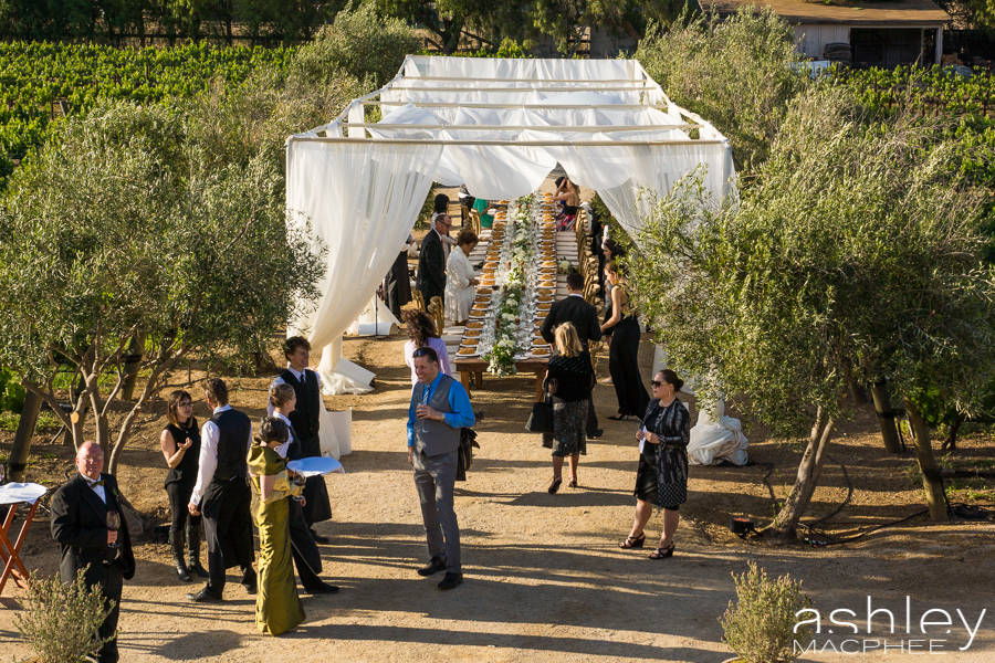 Ashley MacPhee Photography Santa Ynez Sunstone Winery Wedding (86 of 144).jpg