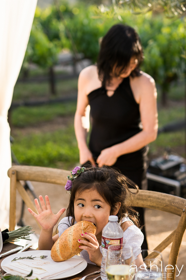 Ashley MacPhee Photography Santa Ynez Sunstone Winery Wedding (91 of 144).jpg