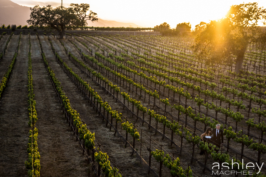 Ashley MacPhee Photography Santa Ynez Sunstone Winery Wedding (99 of 144).jpg