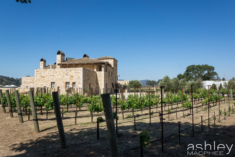 Ashley MacPhee Photography Santa Ynez Sunstone Winery Wedding (128 of 144).jpg