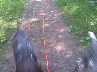 Too+Fast+to+Capture+with+the+Camera%2521.jpg