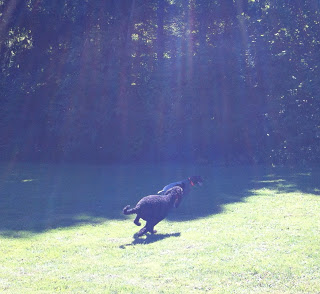Rays+of+Sunshine.jpg