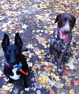 Sit+for+treat.jpg
