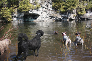 Swimming!.jpg