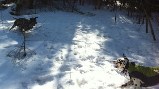 IMG_1295.jpg