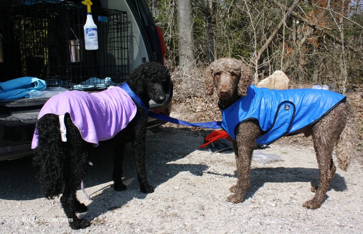 cool coats.jpg