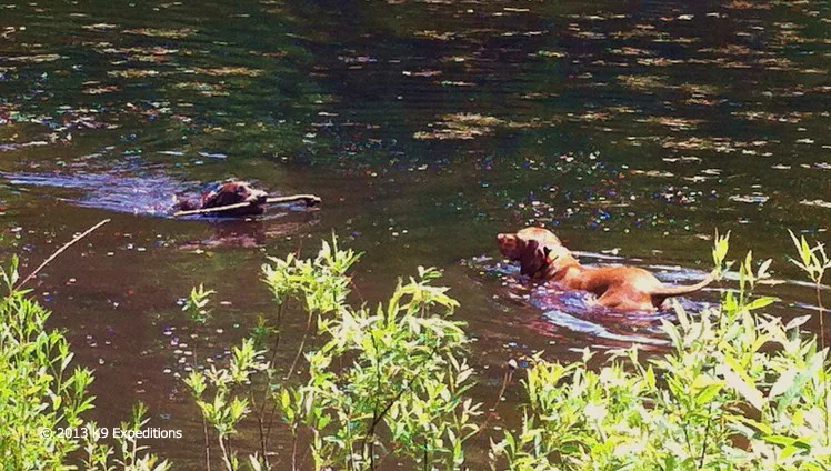 Pond Stan and Fynn 2.jpg